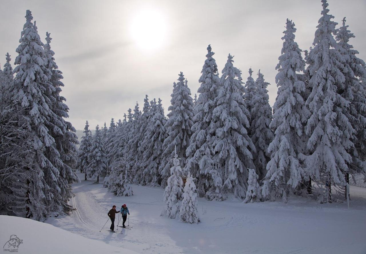Gipfelstuermer Winterberg Exterior photo